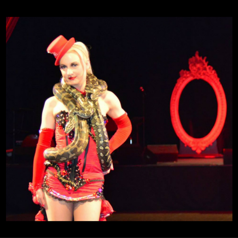 #circus #snakedance #serpentdancer snake circus performer